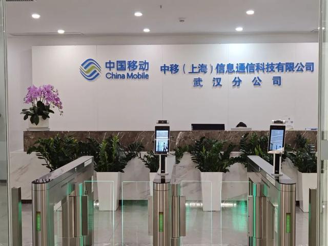 世界杯官方客户端-“四个季度考核都是C，年度考核等级D”女子差1分合格，失去12.9万年终奖，仲裁赢了官司输了已上诉